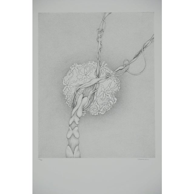 Gochka Charewicz, Eclosion, Lithograph For Sale - Image 7 of 7