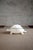 Turtle-shaped storage coffee table product details turtle-shaped base with beveled glass top. turtle dimensions: 110 w x...