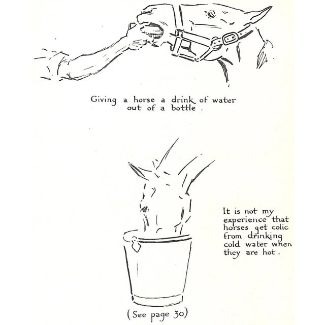 "Getting to Know Your Pony" 1950 Edwards, Lionel For Sale - Image 9 of 13