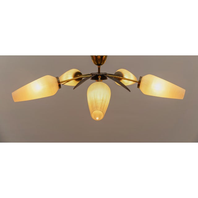 1950s Mid-Century Modern 5-Armed Brass and Glass Sputnik Lamp, 1950s For Sale - Image 5 of 13