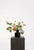 A sculptural mix of peach and soft cream blooms with lively green accents. The composition feels centered yet expressive,...