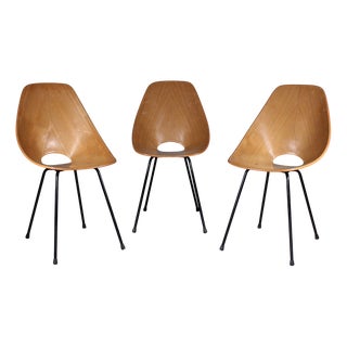Vintage Medea Chairs by Vittorio Nobili for Fratelli Tagliabue, Set of 3 For Sale