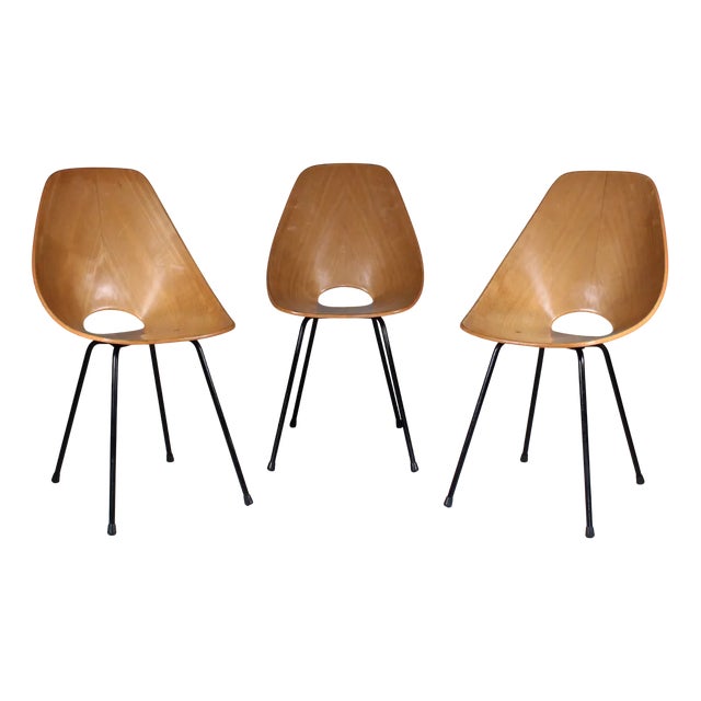 Vintage Medea Chairs by Vittorio Nobili for Fratelli Tagliabue, Set of 3 For Sale