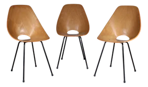 Vintage Medea Chairs by Vittorio Nobili for Fratelli Tagliabue, Set of 3