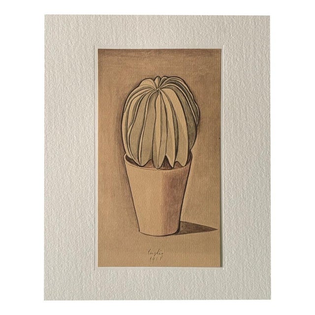 Giorgio Morandi, Cactus, 1973, Lithograph For Sale - Image 9 of 10