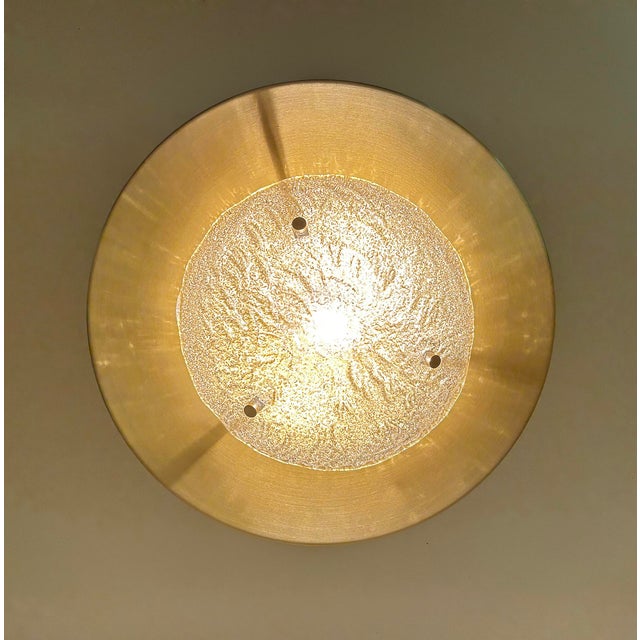 Large Space Age Murano Glass Light from Honsel, 1960s For Sale - Image 17 of 18