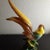 This is an EXQUISITE Vintage 1959 Maddux of California Porcelain 9"x11" Pheasant Bird Figurine. Several other Maddux...
