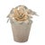 Bring a charming garden inspired touch to your decor with this Sculpted Metal Flower Pot Taper Candle Holder set. Designed...