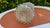 Dimensions: height 21.5 cm, width 16.5 cm, diameter 8.3 cm, bottom diameter 10.5 cm.