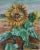 Pino Romanò, Sunflowers, Oil Painting, 1990s For Sale