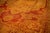 1900 - 1909 1900s Red Medallion Traditional Antique Indian Agra Knotted Wool Gallery Rug For Sale - Image 5 of 9