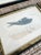 Mid 19th Century Set of Four Rare Antique Alexander Francis Lydon Framed Bird Prints | Original Victorian Hand-Colored Ornithological Engravings For Sale - Image 5 of 7
