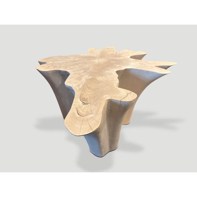 Andrianna Shamaris Amorphous Bleached Teak Wood Coffee Table For Sale - Image 10 of 18