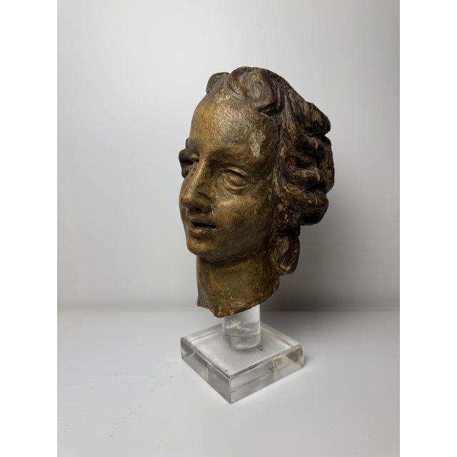 Genovese Artist, Sculpture Depicting the Head of an Angel, 17th Century, Wood For Sale - Image 13 of 18