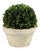 Kenneth Ludwig Chicago Boxwood Ball in Pot For Sale