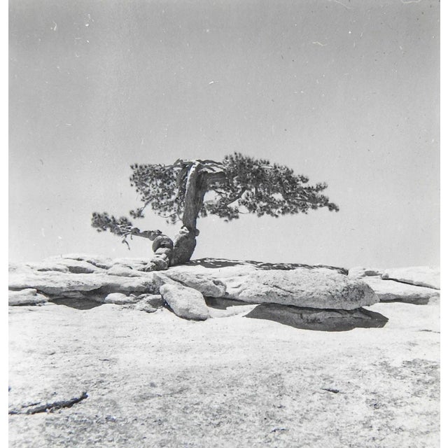 Photographers contact sheet of 12 photos circa 1950's. Photographer unknown but very good, Kodak Safety Film. Pictures...