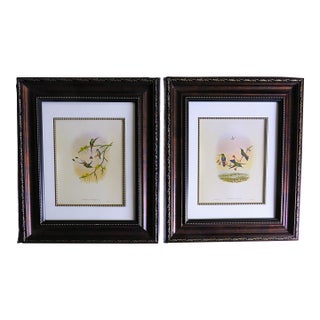 Pair of John Gould Humming Bird Lithographs Prints 1st Edition Framed For Sale