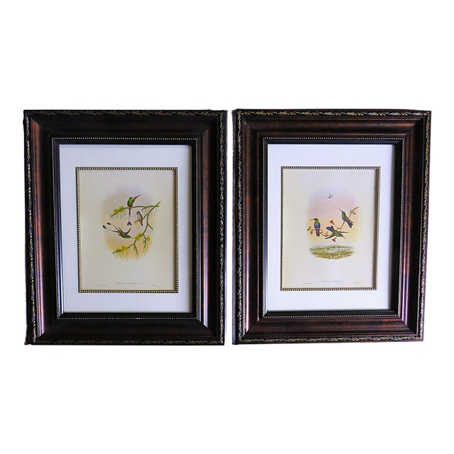 Pair of John Gould Humming Bird Lithographs Prints 1st Edition Framed For Sale