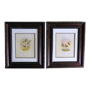 Pair of John Gould Humming Bird Lithographs Prints 1st Edition Framed