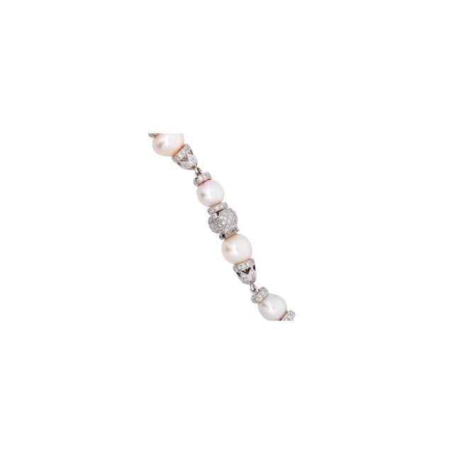 Mid 20th Century Vintage 18k White Gold 13mm South Sea Pearl & Diamond Choker Necklace For Sale - Image 5 of 5