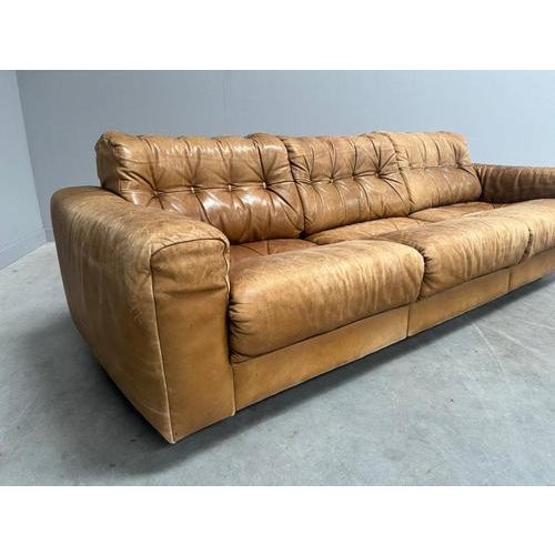 Late 20th Century Vintage DS40 Sofa by Robert Haussmann for de Sede, 1970s For Sale - Image 5 of 16