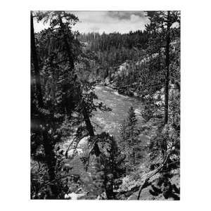 1969 Yellowstone Park River Photograph by Don Ware