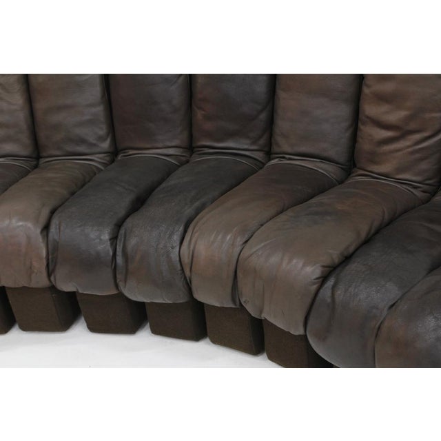 Animal Skin Vintage DS-600 Non Stop Snake Sofa from de Sede, 1970s, Set of 22 For Sale - Image 7 of 14