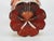 Mid 19th Century Cup Goblet Bohemian Glass Ruby Flashed Cut Engraved Cornucopia Antique Grand Tour For Sale - Image 5 of 17