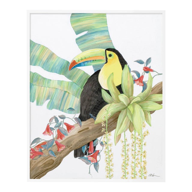 Toucan Play at That Game by Allison Cosmos in White Framed Paper, XS Art Print For Sale