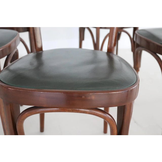 Wood Midcentury Modern Italian Dining Chairs, 1950s, Set of 6 For Sale - Image 7 of 18