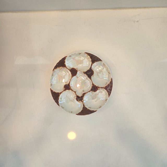 Antique Haviland Limoges Oyster Plate For Sale - Image 10 of 18