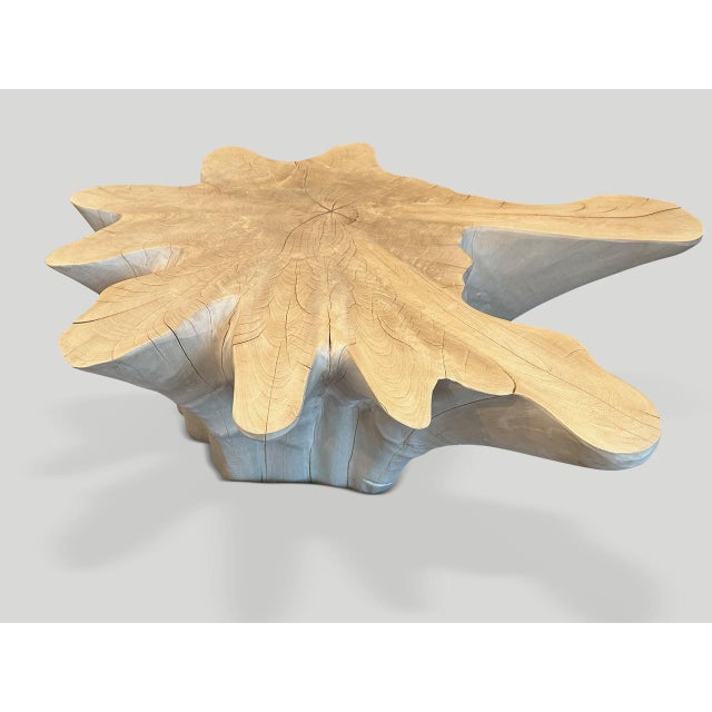 Contemporary Andrianna Shamaris Amorphous Bleached Teak Wood Coffee Table For Sale - Image 3 of 5