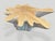 Contemporary Andrianna Shamaris Amorphous Bleached Teak Wood Coffee Table For Sale - Image 3 of 5
