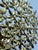 Large Vintage Rhinestone Ornaments, a Set of 2 For Sale In Charleston - Image 6 of 9