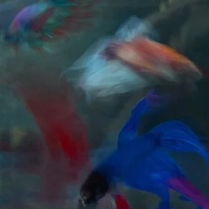 "Beta Blur 1" Photograph