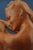Lucien Charles Edouard Alliot, Art Nouveau Female Nude, Early 1900s, Terracotta For Sale - Image 15 of 18