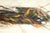 Beige John D. Boison Large Organic Abstract Oil Painting, 49" Long For Sale - Image 8 of 10