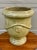 French Provincial French Provincial Glazed Earthenware Pedestal Planter For Sale - Image 3 of 12