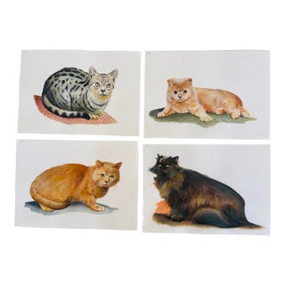 1960s Original Art Cat Paintings - Set of 4 For Sale