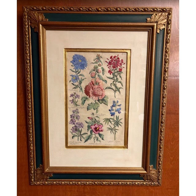 English Set of 3 Antique Botanical Engravings — John Hill “Eden” Plates 27, 43 & 55 (1757), Framed For Sale - Image 3 of 9