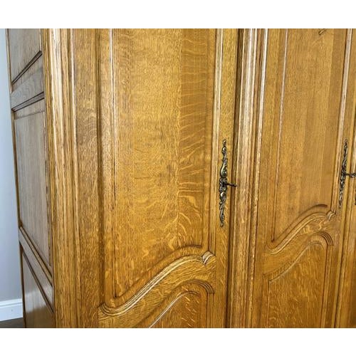 Wood Vintage French Louis XVI Style Wardrobe in Carved Oak For Sale - Image 7 of 12