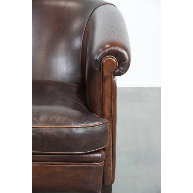 Stylish and Characterful Dark Brown Vintage Club Armchair in English Style Made of Sheepskin with Matching Piping For Sale - Image 9 of 16