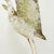 Brown Decorative Outdoor Heron Sculpture For Sale - Image 8 of 16