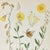 Printmaking Materials Set of 4 Antique Swedish Botanical Prints | Yellow & Green Wildflowers For Sale - Image 7 of 9