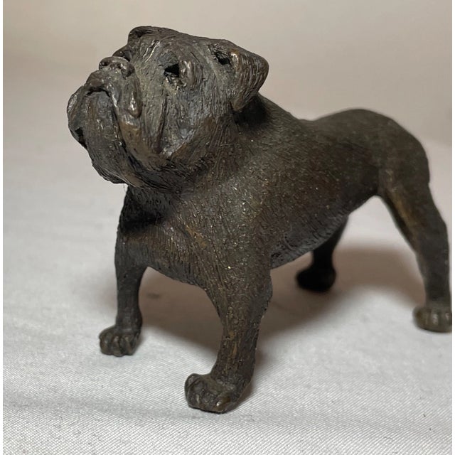 Antique Austrian Miniature Bronze Dog Bulldog Statue Figure Sculture Realistic For Sale - Image 9 of 12