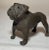 Antique Austrian Miniature Bronze Dog Bulldog Statue Figure Sculture Realistic For Sale - Image 9 of 12