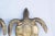 Brass Large Brass Turtles Planters - A Pair For Sale - Image 8 of 13