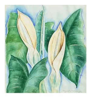 'Hawaiian Lilies' by Margaret McNerney, 1975; Modernist Botanical Study