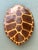 Vintage Monumental Faux Tortoise Shell For Sale - Image 9 of 13