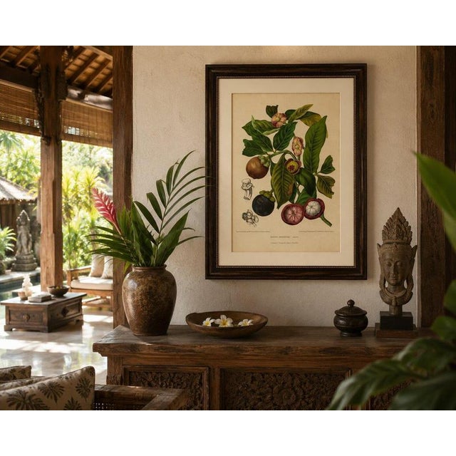 Paper Berthe Hoola van Nooten, Mangosteen, 1880, Chromolithograph For Sale - Image 7 of 9